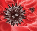 Bacteria Image