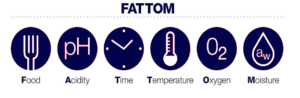 FATTOM Infographic
