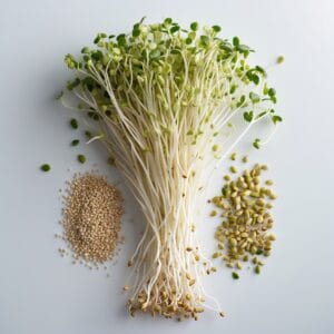 Sprouts and Sprout seeds