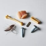 Phytsical Contaminants image
