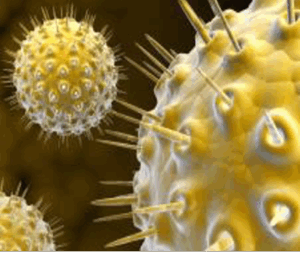 Viruses